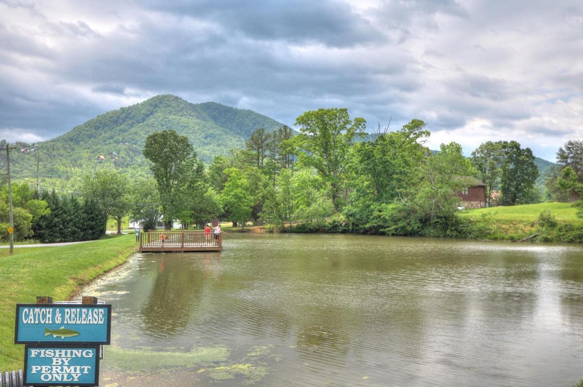 Bears Valley Inn - Great Location! - Peaceful, Children And Dog Friendly Retreat - Less Than 15 Min To All Attractions - Private Pool Club & Fishing Hole - Game Room With Tv Sevierville Exterior foto